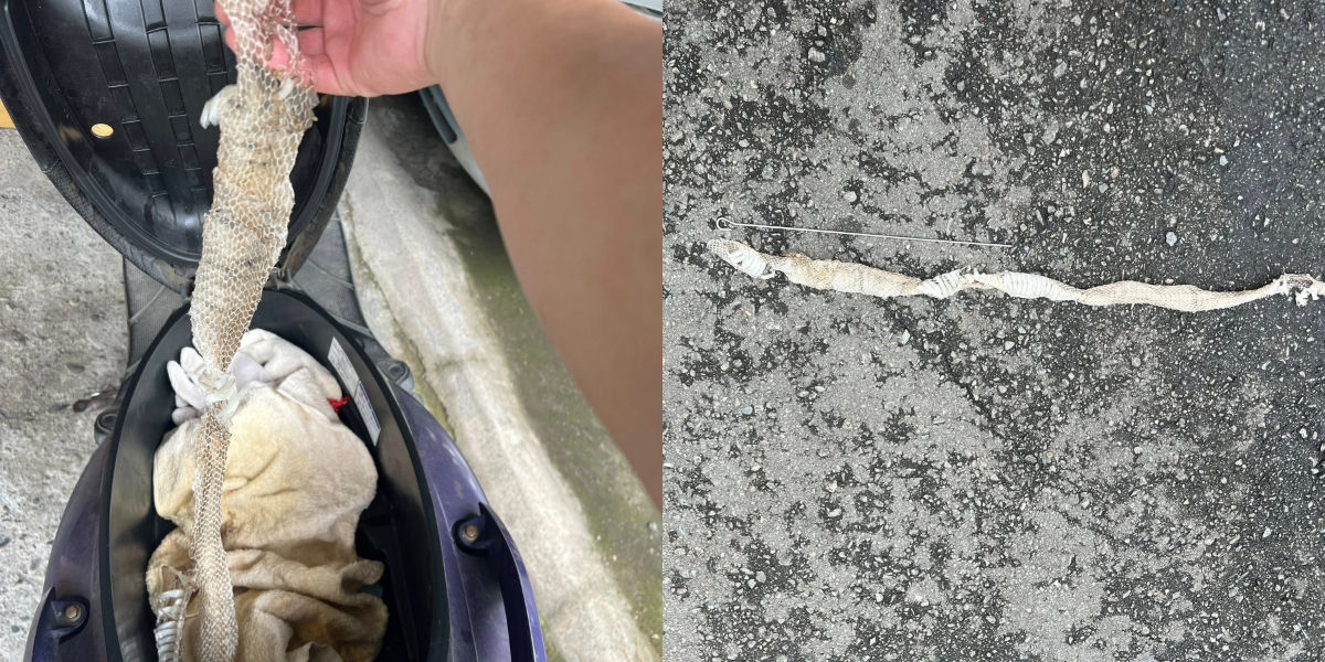 ▲▼             。（圖／翻攝爆廢公社公開版）