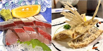 《魔法公主》取景地吃飛魚生魚片！