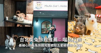 新北「兔兔旅館」開箱！