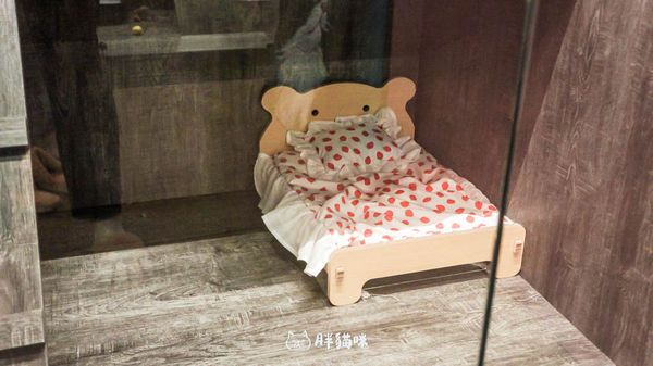 ▲▼兔兔旅館推薦【MaAh喵品行旅】：兔寶爸媽看過來！最細心的兔兔旅館完整體驗五星級體驗全紀錄。（圖／部落客胖貓咪的奇幻旅程授權提供）