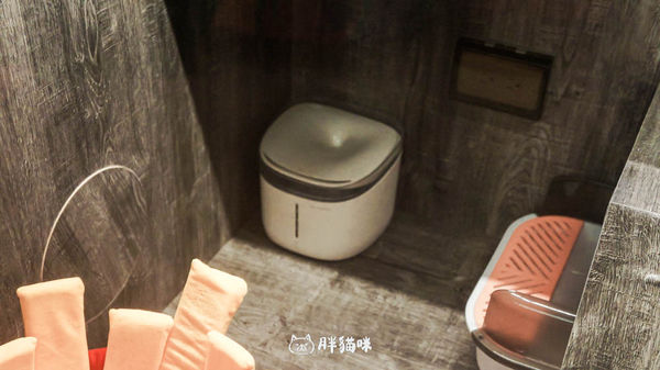 ▲▼兔兔旅館推薦【MaAh喵品行旅】：兔寶爸媽看過來！最細心的兔兔旅館完整體驗五星級體驗全紀錄。（圖／部落客胖貓咪的奇幻旅程授權提供）