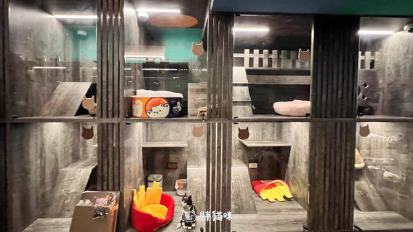 ▲▼兔兔旅館推薦【MaAh喵品行旅】：兔寶爸媽看過來！最細心的兔兔旅館完整體驗五星級體驗全紀錄。（圖／部落客胖貓咪的奇幻旅程授權提供）