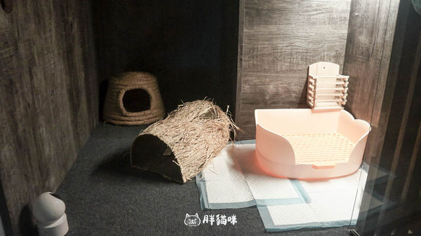▲▼兔兔旅館推薦【MaAh喵品行旅】：兔寶爸媽看過來！最細心的兔兔旅館完整體驗五星級體驗全紀錄。（圖／部落客胖貓咪的奇幻旅程授權提供）