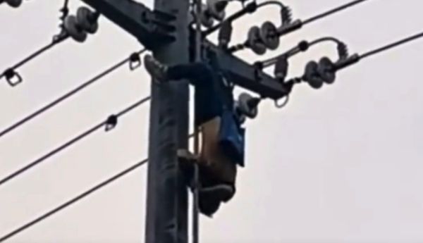 ▲▼爬電線竿偷鳥窩　陸男觸電昏迷倒掛半空中。（圖／翻攝微博）