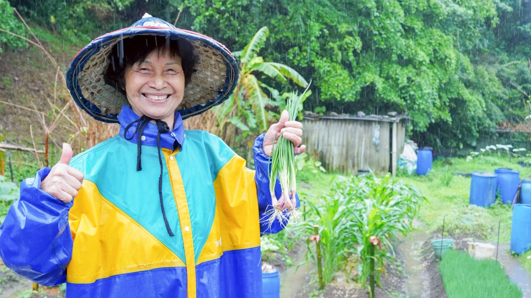 ▲新北珠蔥媽媽五分地奇蹟。（圖／新北市農業局提供）