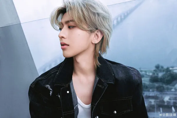 ▲蔡徐坤遭指控帶風向霸凌。（圖／翻攝自蔡徐坤微博）