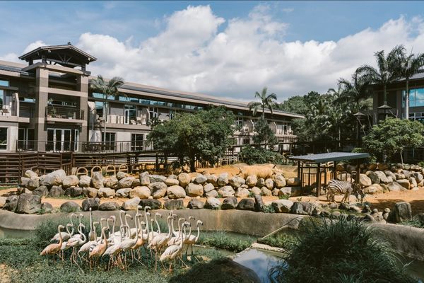▲六福旅遊集團於明（13日）中午12點起推出夏季線上旅展。（圖／業者提供）
