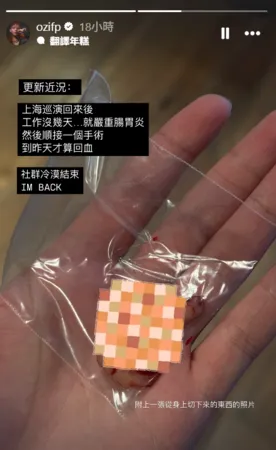 ▲▼ØZI。（圖／翻攝自Instagram／ozifp）