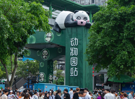 ▲▼重慶新增熱門打卡地標，首座熊貓主題軌交站亮相。（圖／翻攝自澎湃新聞）