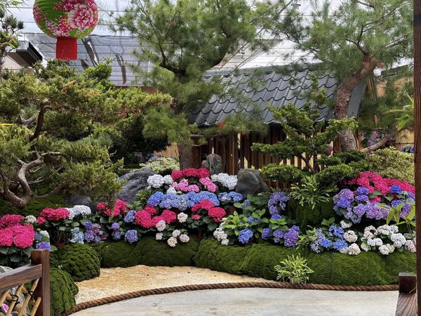 ▲花露農場。（圖／翻攝自Facebook／花露農場 FlowerHome）