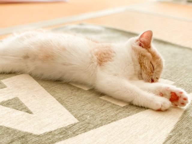 無力感蔓延！網傳「生活失速感」4個修復練習　回神第一步爽躺耍廢超有感