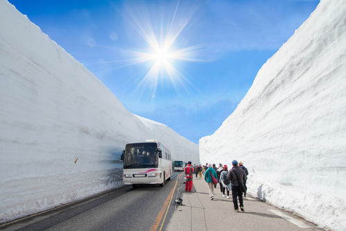 立山黑部看雪壁 ６月出發體驗加分 再享限時特惠（圖／shutterstock）