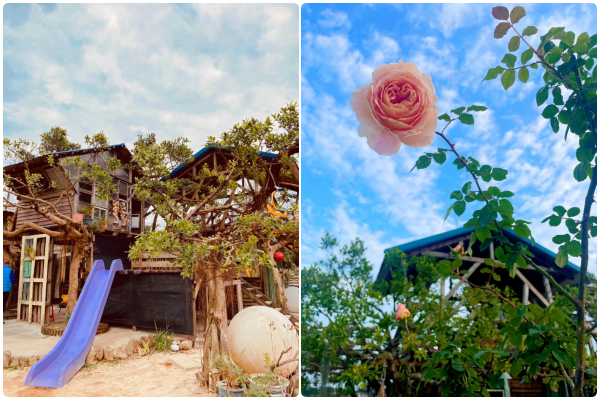 ▲Time奶奶·樹屋咖啡樂園。（圖／翻攝自Facebook／Time奶奶·樹屋咖啡樂園）