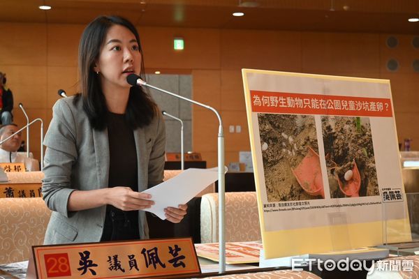 民眾亂放養！台中親子公園沙坑驚見成堆龜蛋　水池年撈千隻