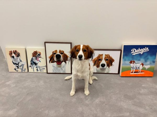 ▲大谷翔平愛犬Decoy兩歲慶生。（圖／截自大谷翔平IG）
