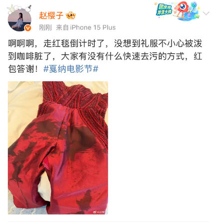 ▲▼陸女星趙櫻子透視裝走紅毯，疑似被工作人員驅趕。（圖／翻攝自微博）