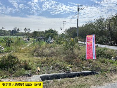 搶當都市小農 台南農地標售8筆入帳千萬元