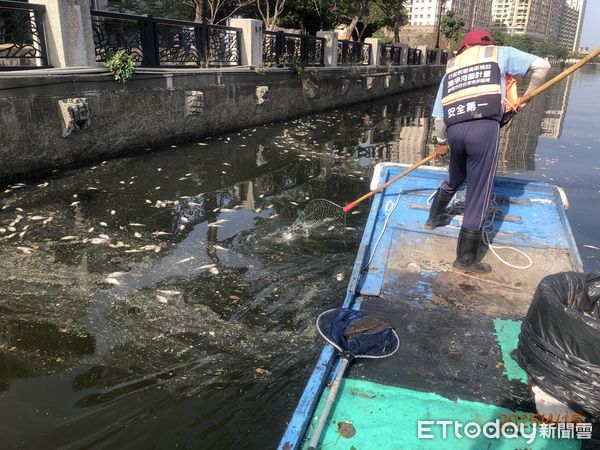 ▲為迎接國際龍舟賽，環保局日夜出動清理安平運河水面垃圾與死魚，並監控水質。（記者林東良翻攝，下同）