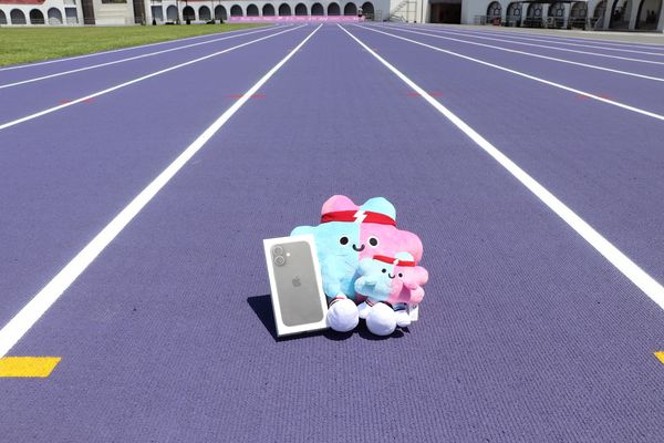 《世壯運》新北推出專屬觀賽好康 入場集點抽iPhone16 每日限量送應援毛巾、新北幣（圖／新北市政府體育局提供）