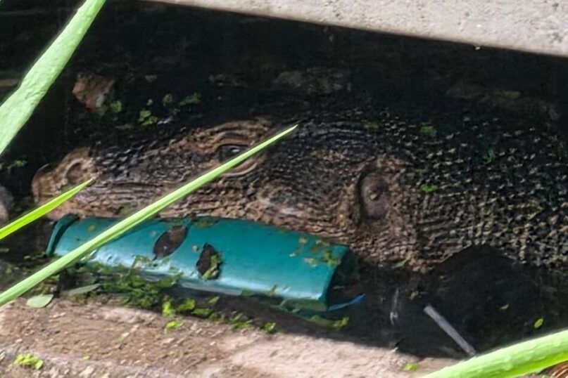 ▲▼             。（圖／翻攝自臉書）