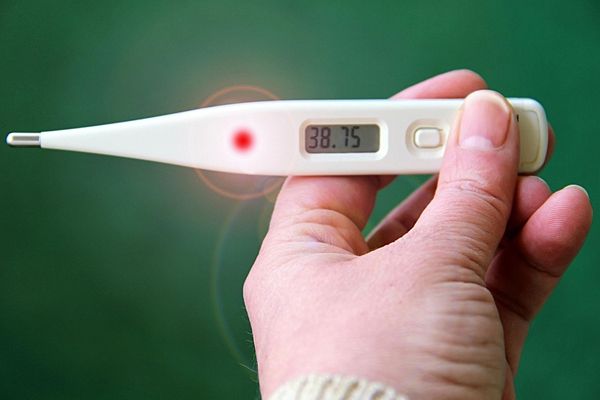 台灣近期有多種病毒同時活耀，包含人類間質肺炎病毒、流感、類流感、新冠病毒及腸病毒等。（Pixabay／Image by Gundula Vogel）