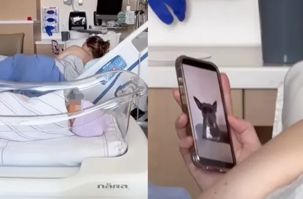 女剛生下兒子手機卻狂看毛孩照片　網感動：牠才是第一個寶寶。（圖／翻攝自Instagram／dontforget2move）