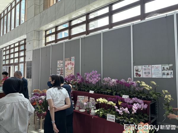 ▲▼  嘉義地檢署與行政執行分署蘭花聯展司法與行政機關擴散為民服務效益  。（圖／執行署嘉義分署提供）