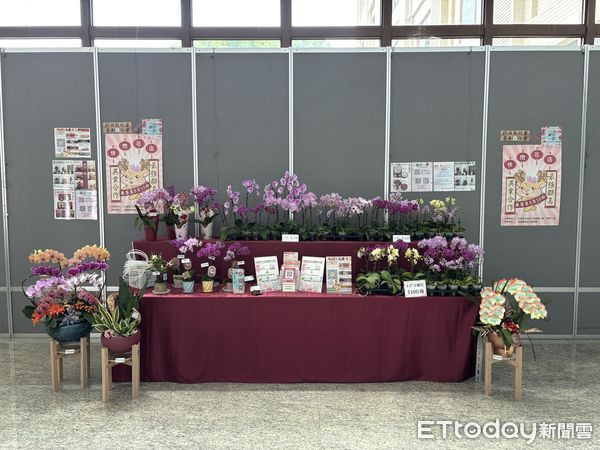 ▲▼  嘉義地檢署與行政執行分署蘭花聯展司法與行政機關擴散為民服務效益  。（圖／執行署嘉義分署提供）