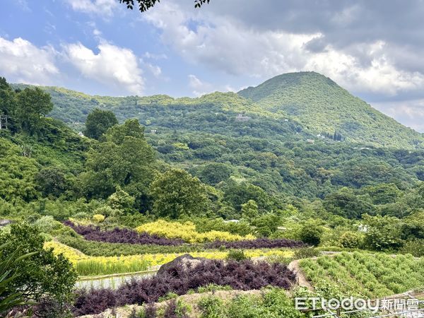 ▲猴崁古道於四月中完成整修，最引人矚目的即是新設置「草山觀瀑吊橋」，另一頭接到十八份圳步道。（圖／記者彭懷玉攝）