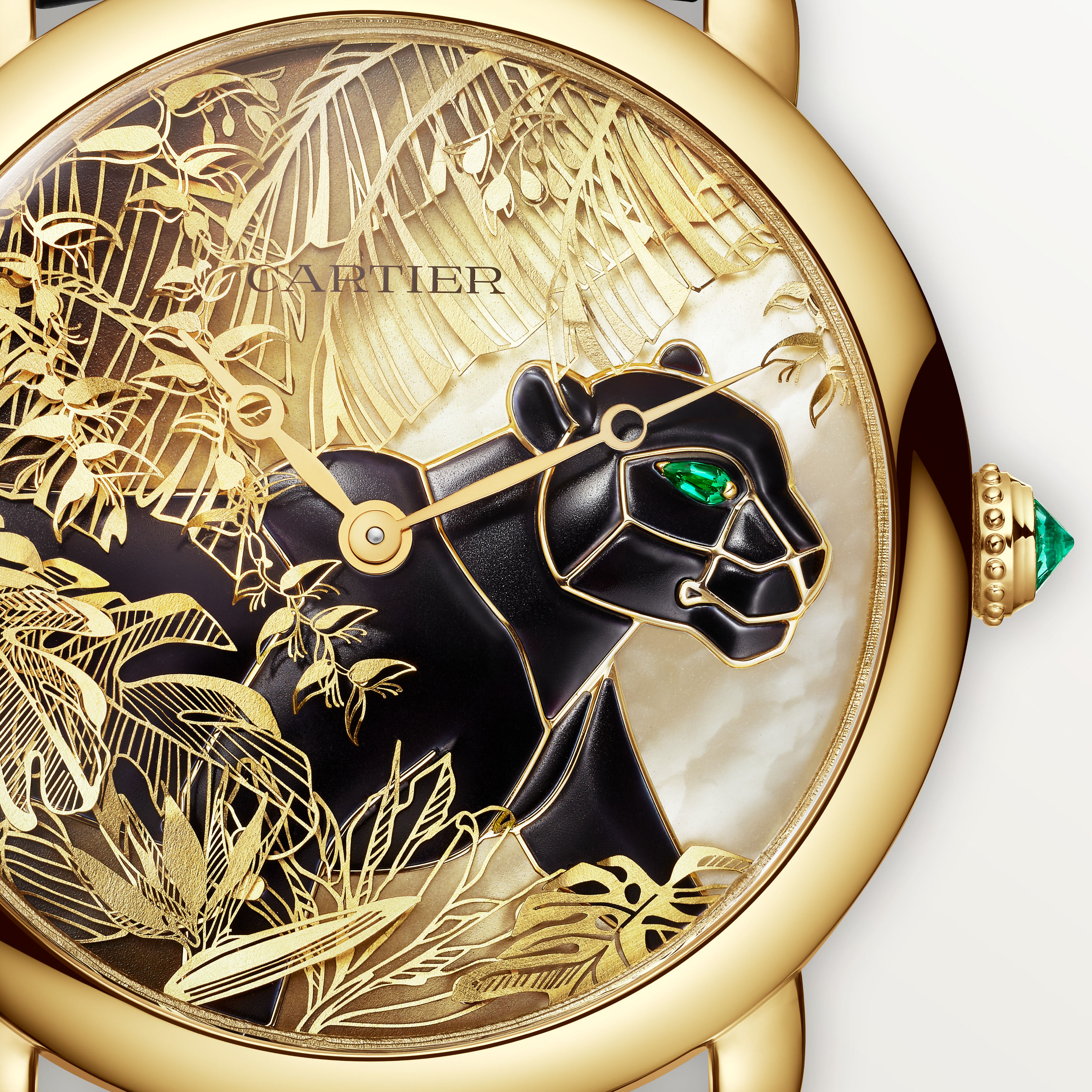 ▲▼ Cartier AD            。（圖／公關照）