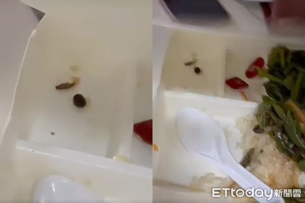 ▲▼民眾到高雄某校的學餐用餐，結果吃到蟑螂。（圖／讀者提供）
