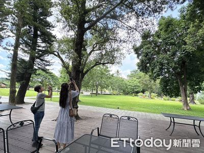 台南山上水道博物館驚喜畫面! 黑冠麻鷺築巢育雛生態景觀吸睛