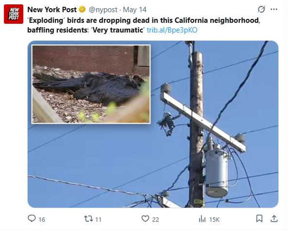 加州傳出大量鳥類不明原因死亡。（圖／翻攝自X）