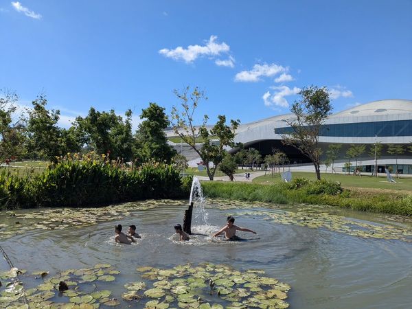 ▲▼衛武營戲水             。（圖／翻攝自臉書社團「衛武營都會公園」）