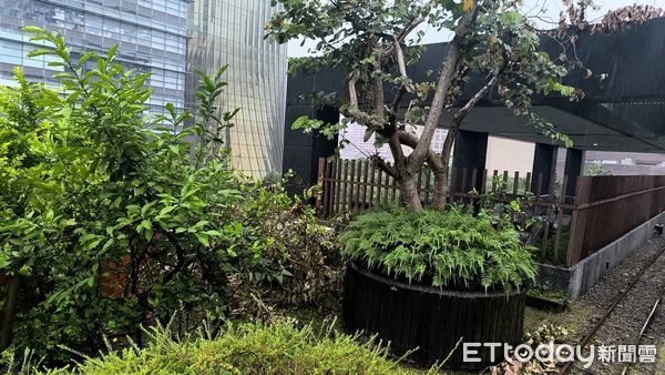 ▲▼新光三越A8今午傳出工人死亡案件。（圖／記者張君豪翻攝）