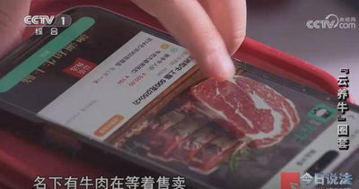 線上養牛「躺著賺」吸金20億!詐團保證年化率30%...卻只有牛肉