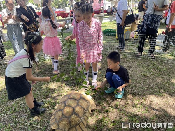 ▲▼康康、方順吉助陣！高雄公益親子派對週末落幕　吸近千人參與。（圖／記者賴文萱翻攝）