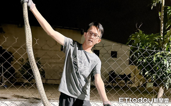 ▲台南安南區雞舍短短1個月內遭蛇頻襲，捕蛇達人鄭琨諺近日成功活捉一條長逾2公尺的臭青母蛇，體型驚人。（鄭琨諺提供）