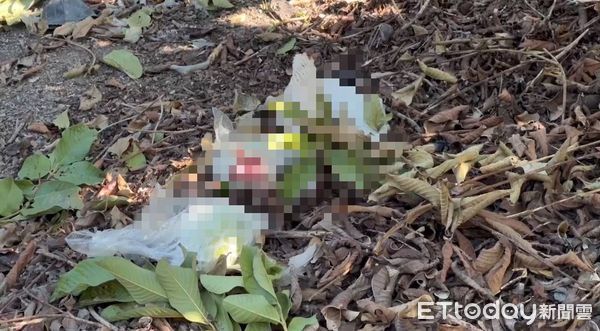 ▲溪州鄉1名鄭女遭前男友及其手下張男綑綁26刀慘死芭樂園。（圖／ETtoday資料照）