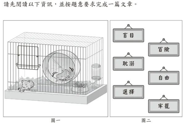 ▲會考作文,倉鼠。（圖／台灣師大心測中心提供）