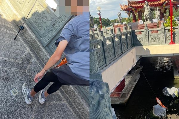 蓮池潭竟有屁孩「進廟裡釣錦鯉」！民眾氣轟：這種人超多