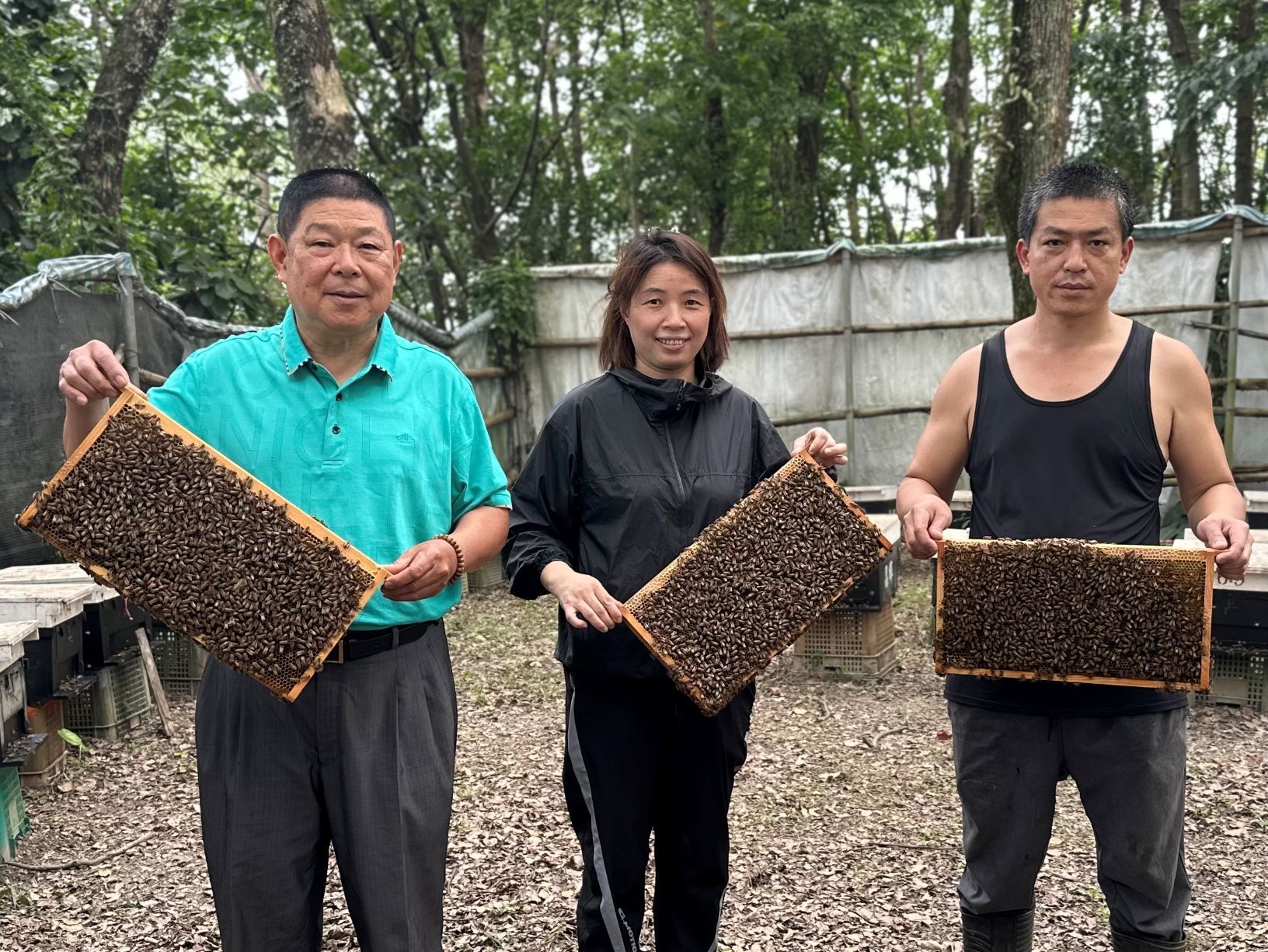 ▲界蜜蜂日看新北 四代蜂農追花期。（圖／新北市農業局提供）