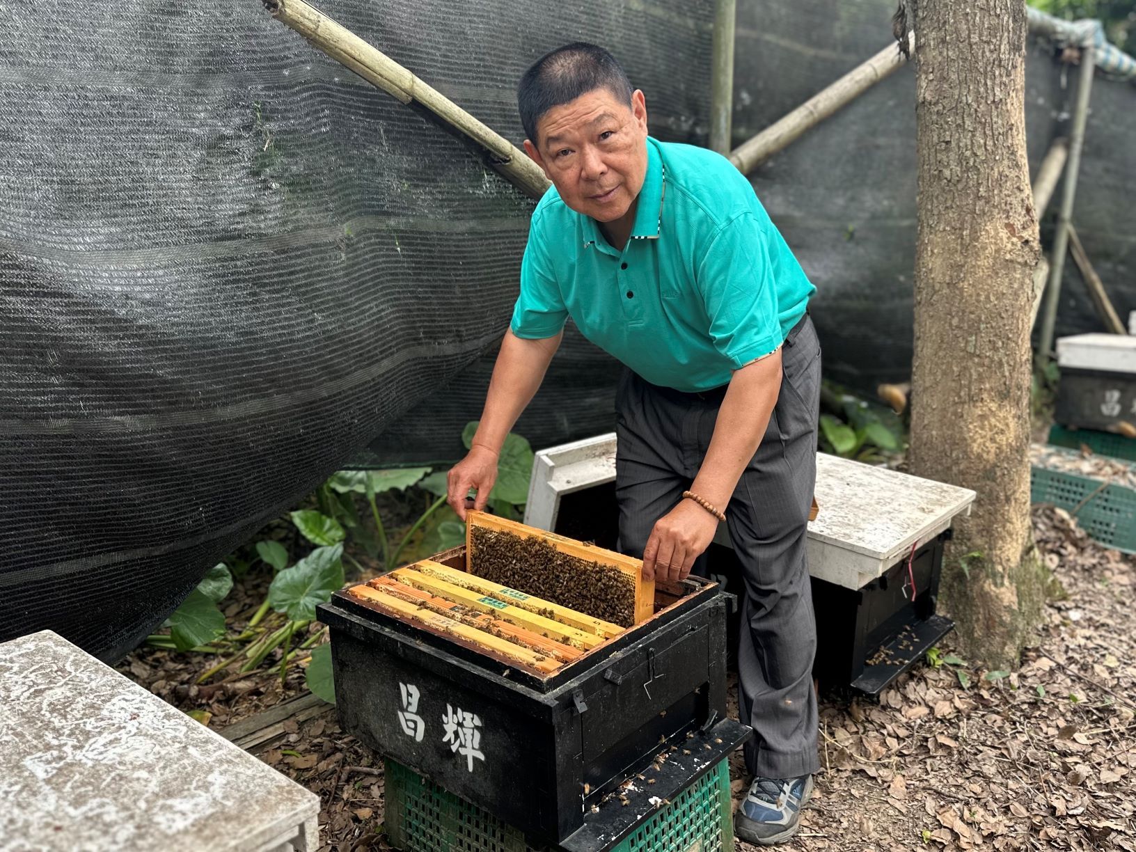 ▲界蜜蜂日看新北 四代蜂農追花期。（圖／新北市農業局提供）