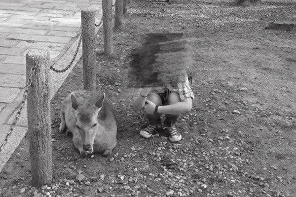 ▲▼ 蔡宜真老師       。（圖／翻攝自Facebook／蔡老師）