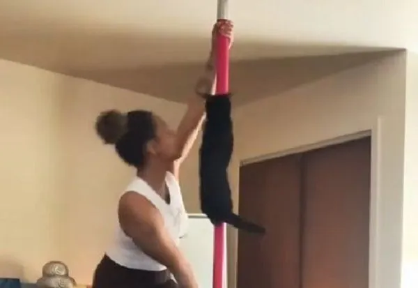 ▲奴才練舞「毛茸黑搭檔」也加入　爪爪抱鋼管一起旋轉。（圖／翻攝自TikTok／@alycatt1111）