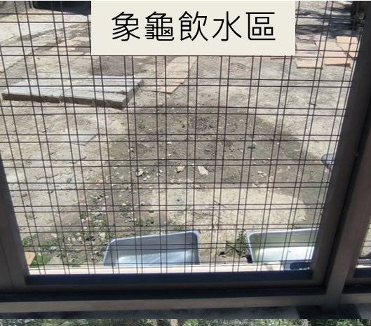 ▲▼ 壽山動物園遮蔭不足熱爆如烤箱！　動物「曝曬進食」挨轟不人道。（圖／記者賴文萱翻攝）