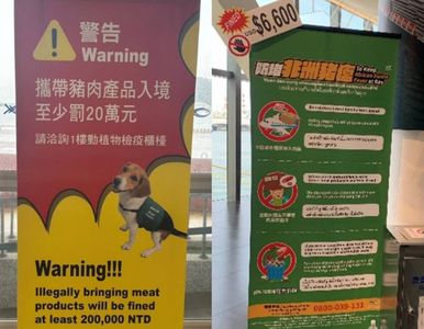 港務公司致力防範非洲豬瘟疫情入境　六個旅運場站加強宣導