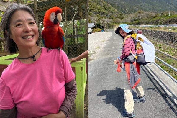 ▲▼60歲的吳-穆拉德（Patricia “Pattie” Wu-Murad）。（圖／翻攝自Facebook／Help Find Pattie）