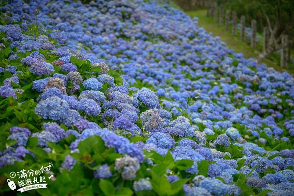 ▲▼北宜石牌縣界公園。（圖／部落客滿分的旅遊札記授權提供）