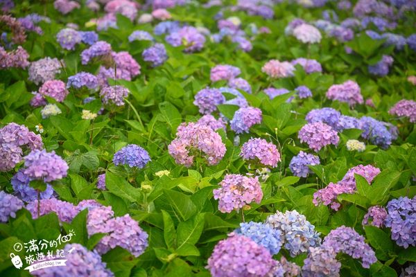 ▲▼北宜石牌縣界公園。（圖／部落客滿分的旅遊札記授權提供）